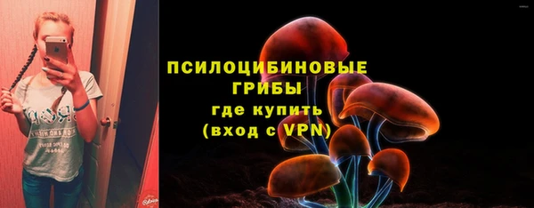прущая мука Верхний Тагил