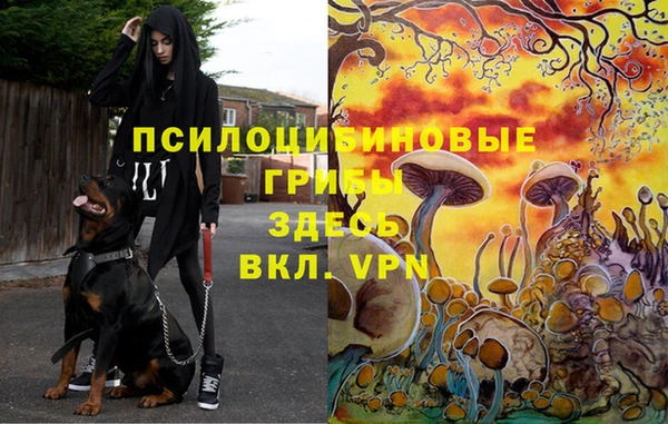 mdma Вязьма