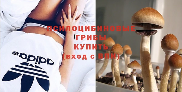 прущая мука Верхний Тагил