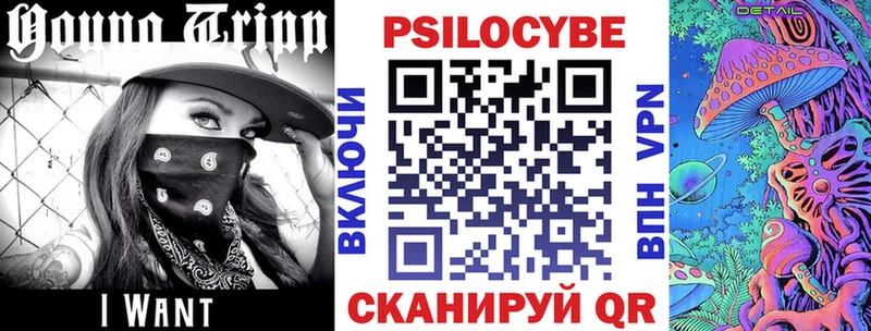наркотики  Жирновск  blacksprut ССЫЛКА  Галлюциногенные грибы GOLDEN TEACHER 